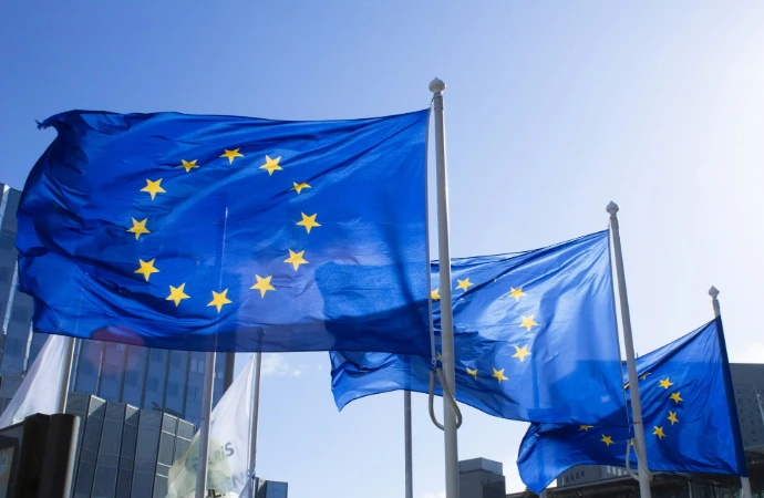 European Union flags representing long-term residence and Blue Card services