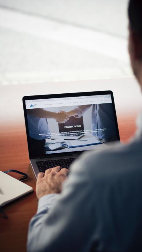 Close-up of structured legal and administrative project management